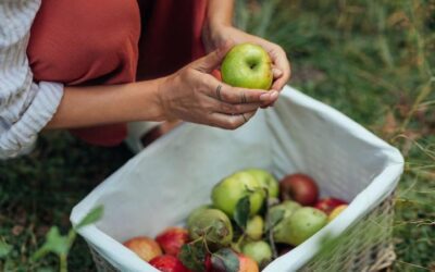 Shop the Fall Farmers Market Like a Chef